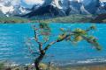 Patagonia